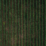 HOUSSET_GRADE-48-2